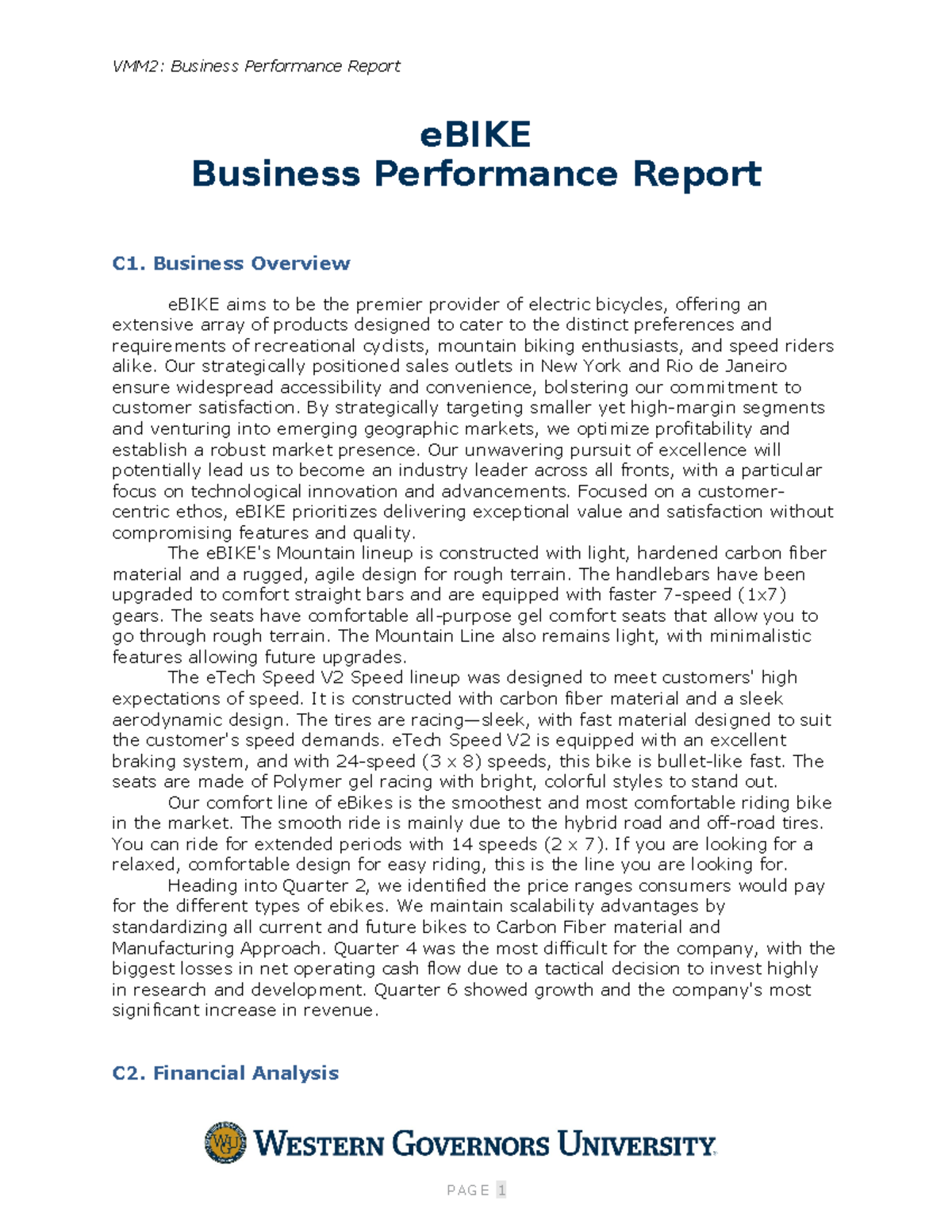 Business Performance Report Template - VMM2: Business Performance ...