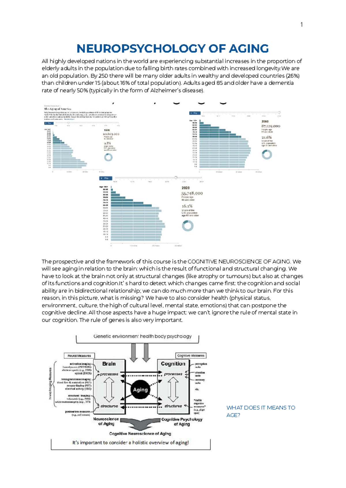 Neuropsychology of Aging: Insights into Cognitive Changes and ...