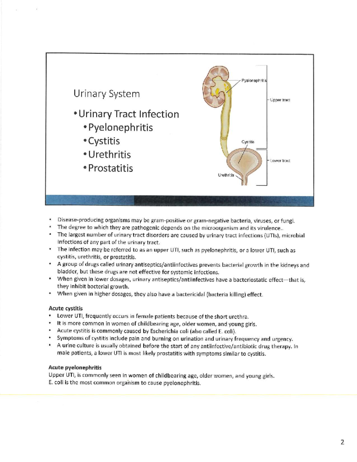 GU Medications & UTI Treatment Notes (NUR 101) - Studocu