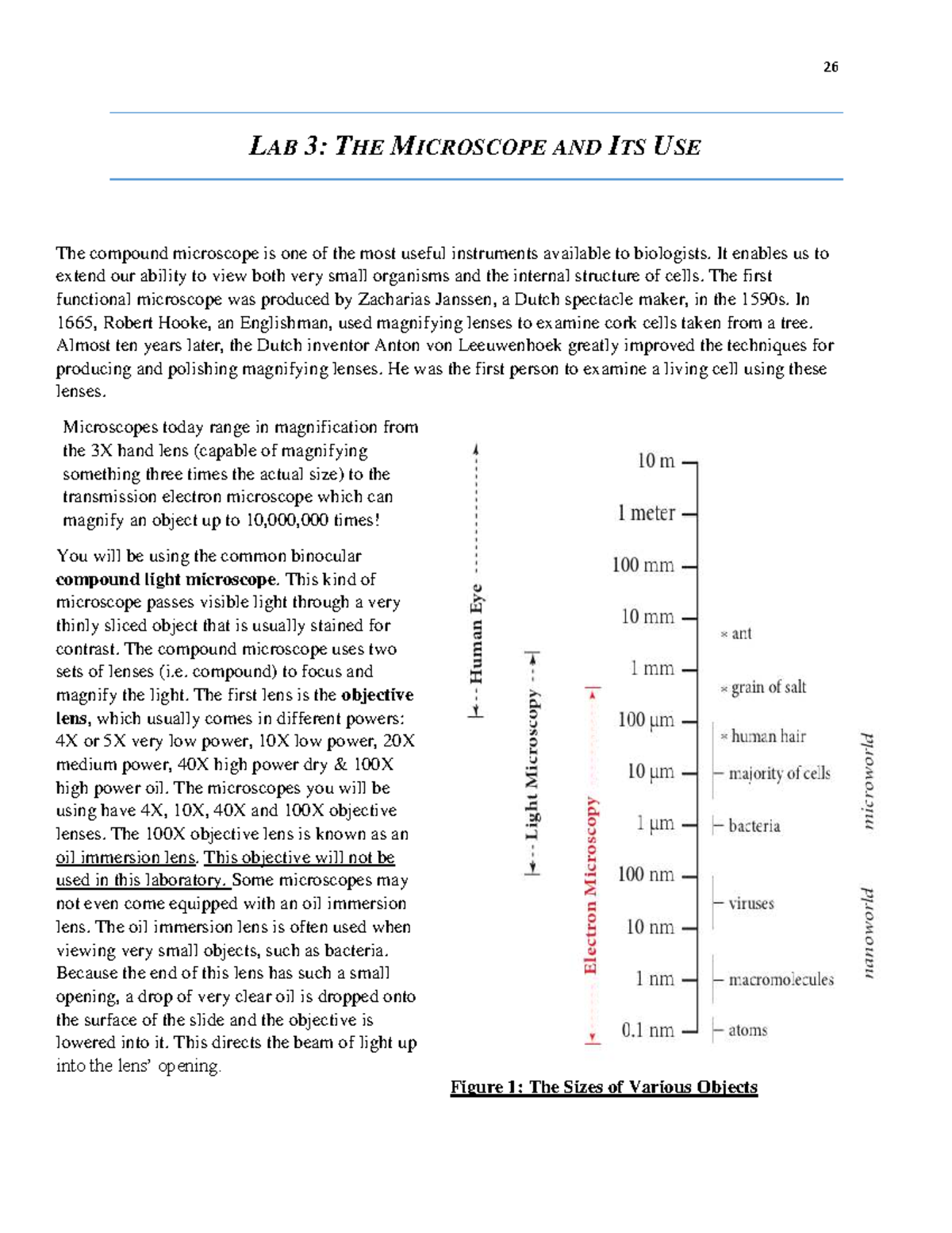 Lab 3: The Microscope and Its Use (MSA 203) - A Comprehensive Guide ...