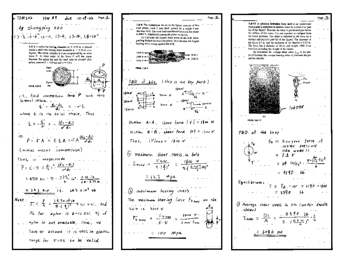 Саша Роуз өз тесігін ашты