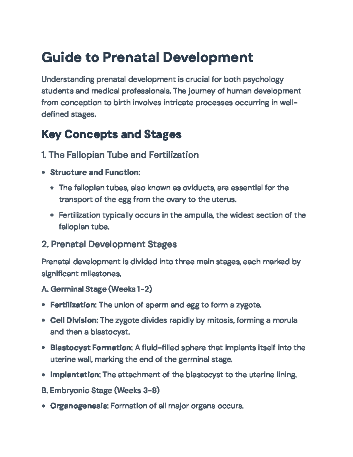 Guide to Prenatal Development: Key Stages and Influencing Factors ...