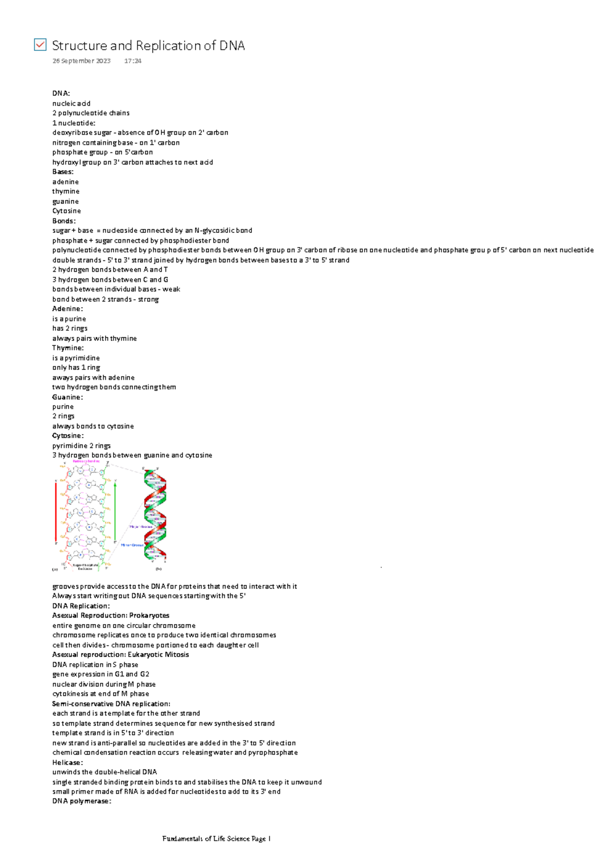 Structure and Replication of DNA - DNA: nucleic acid 2 polynucleotide ...