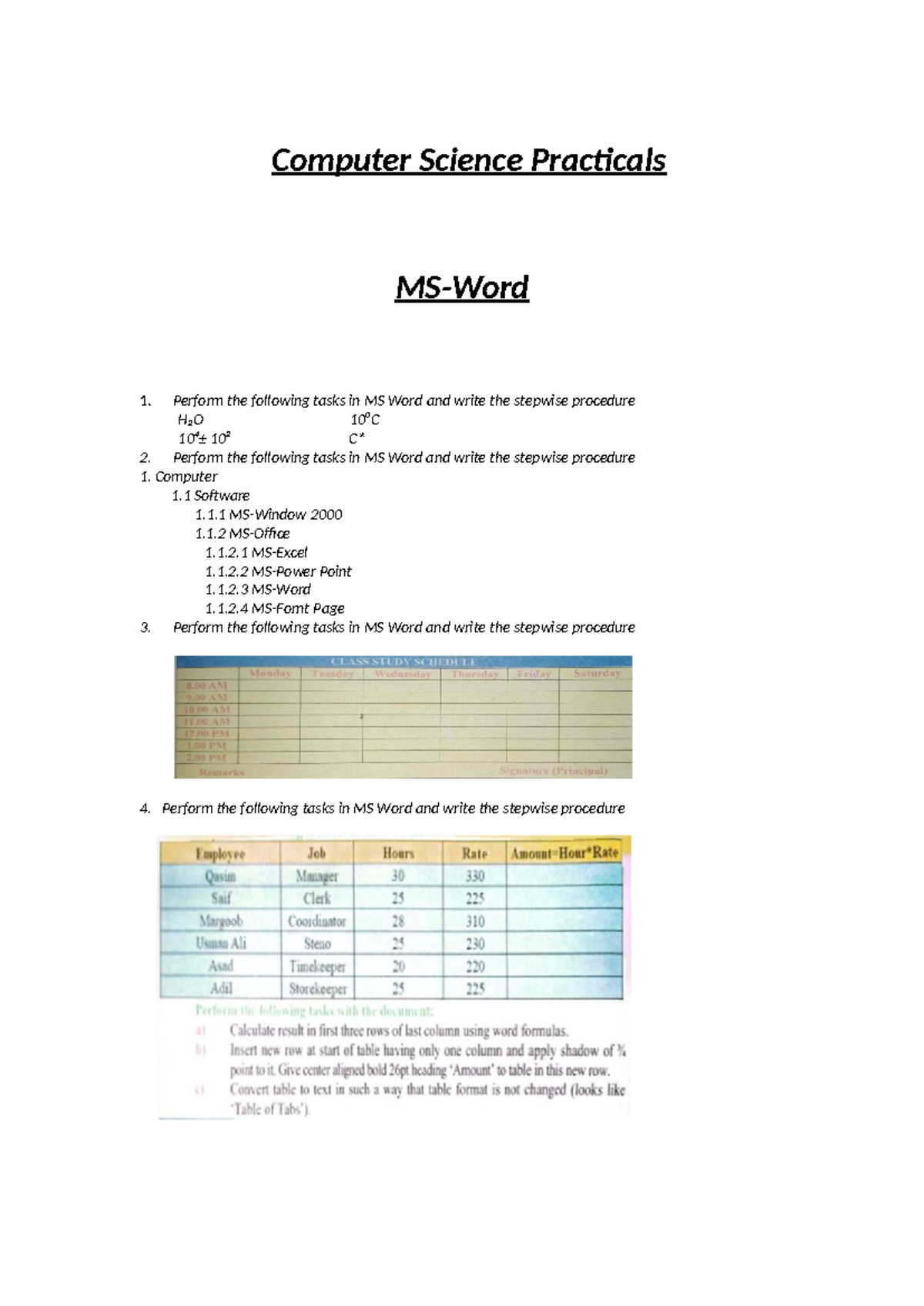 SICSB 1 Computer Science Practicals: MS Word & Excel Tasks - Studocu