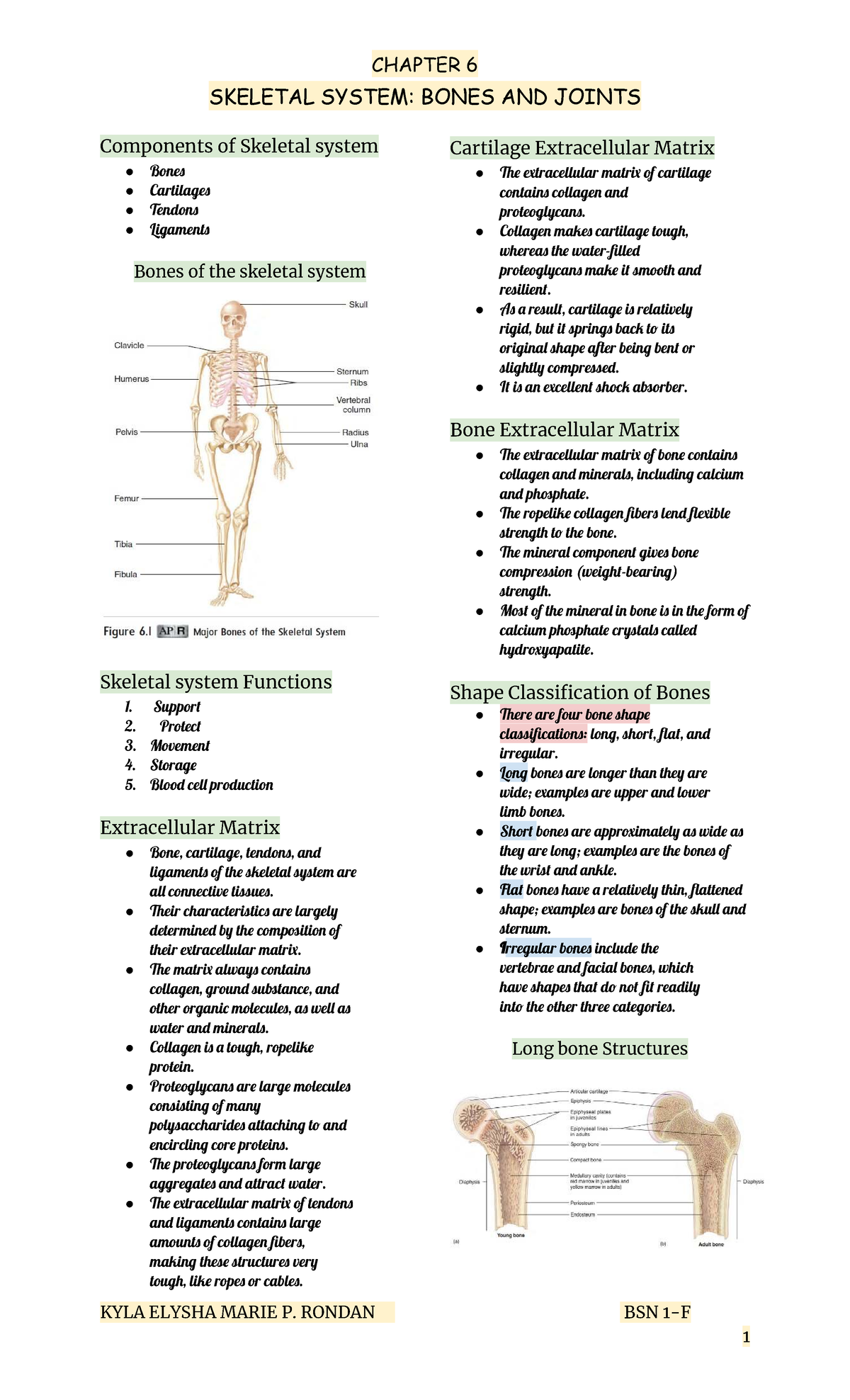 BSN 1 CHAPTER 6 LECTURE NOTES: SKELETAL SYSTEM OVERVIEW - Studocu