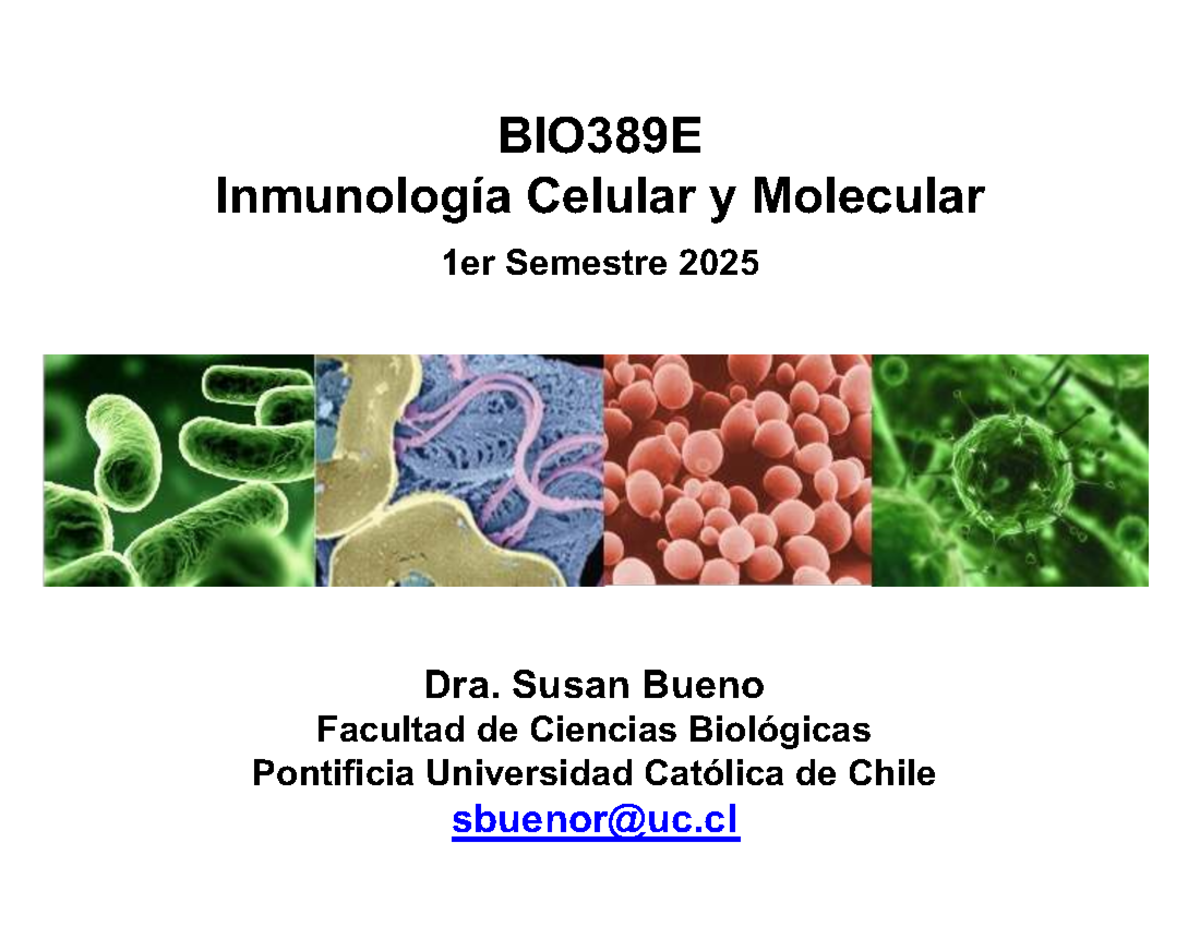BIO389E - Inmunología Celular y Molecular: Respuesta Inmune 2025 - Studocu
