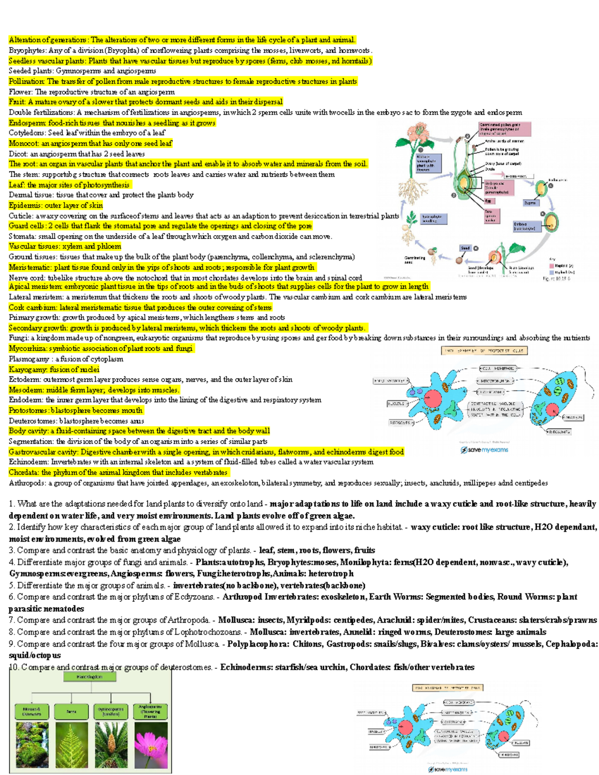 Biology 101 Exam 2 Study Guide: Key Concepts & Adaptations - Studocu