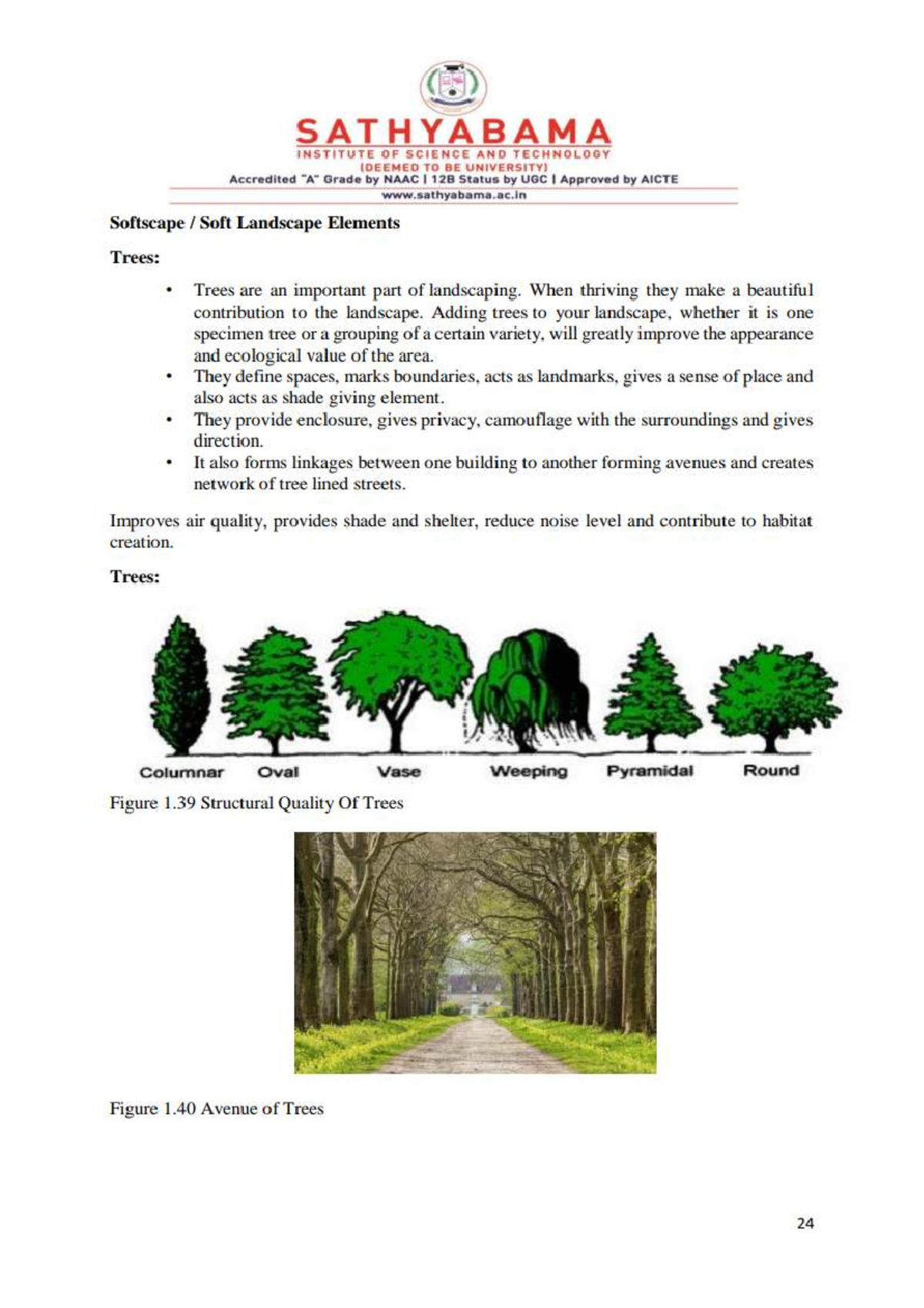 Softscape Elements in Landscaping: Trees, Shrubs, and Grass - Studocu