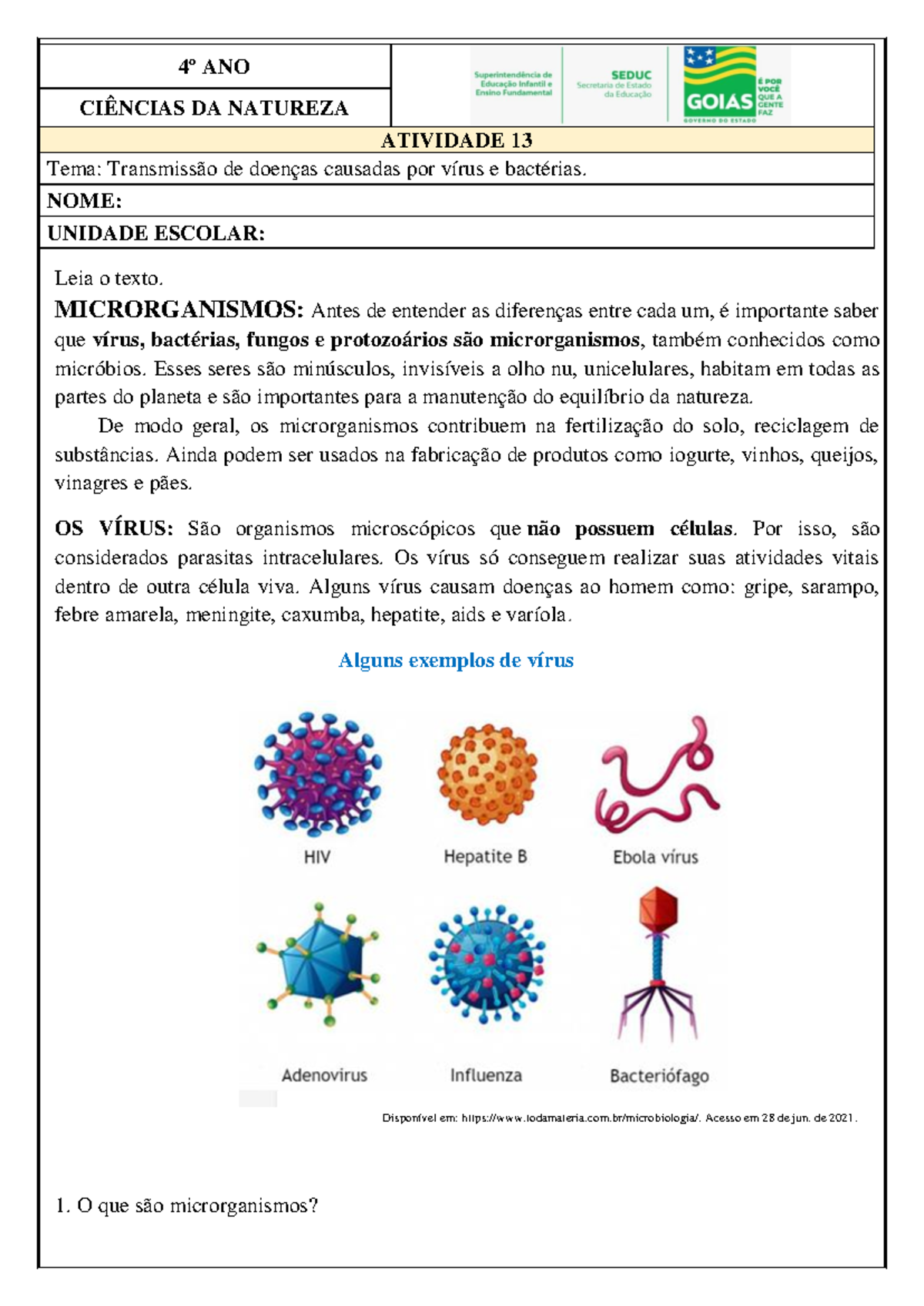 Atividade 13 - 4º Ano CN: Transmissão de Doenças por Vírus e Bactérias ...