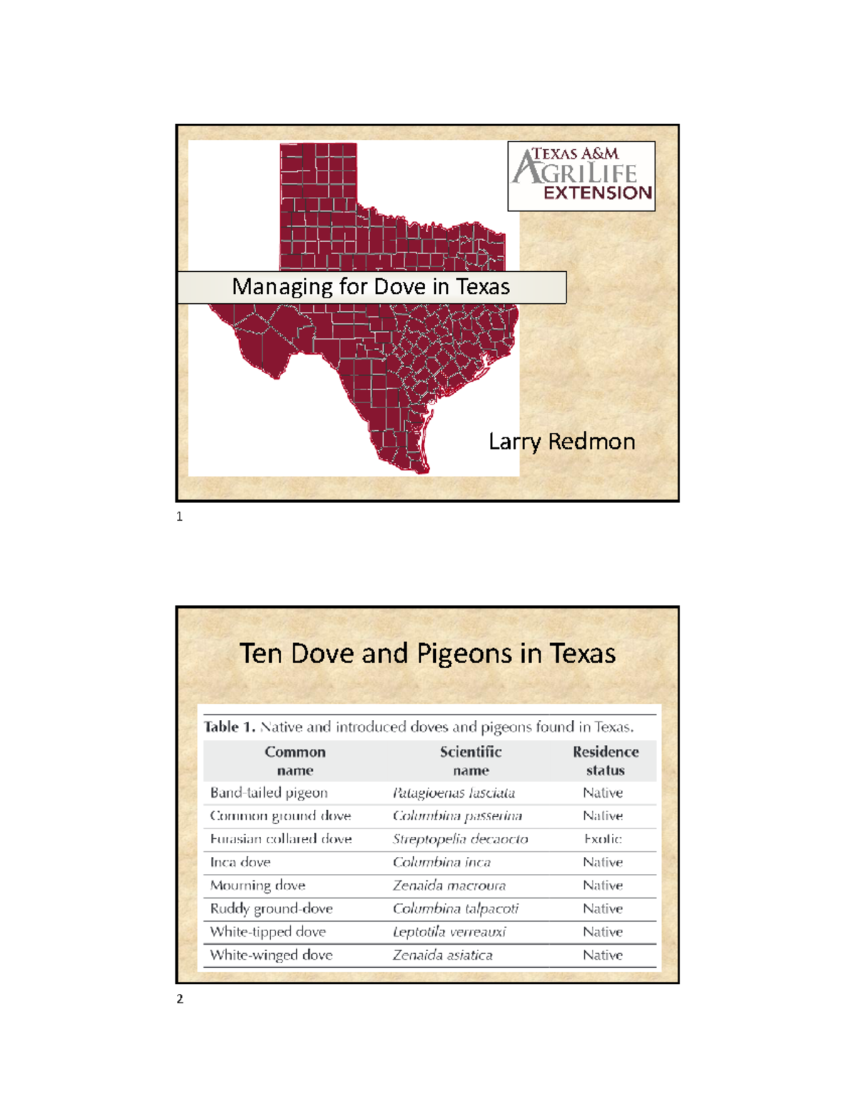 Managing Rangelands for Mourning & White-Winged Doves in TX - Studocu