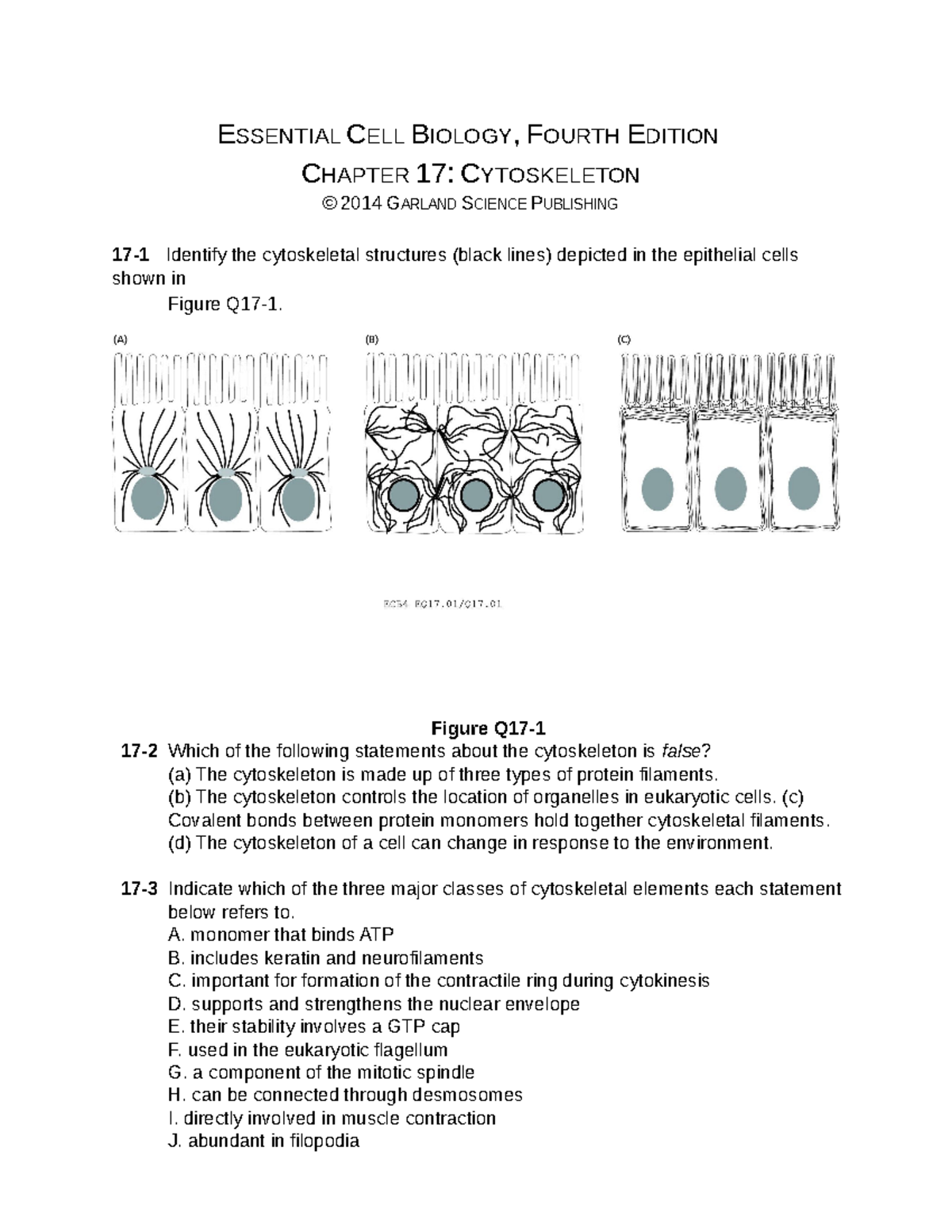 ECB4 Ch1717 - Cytoskeleton Practice Exam Questions & Answers - Document Preview
