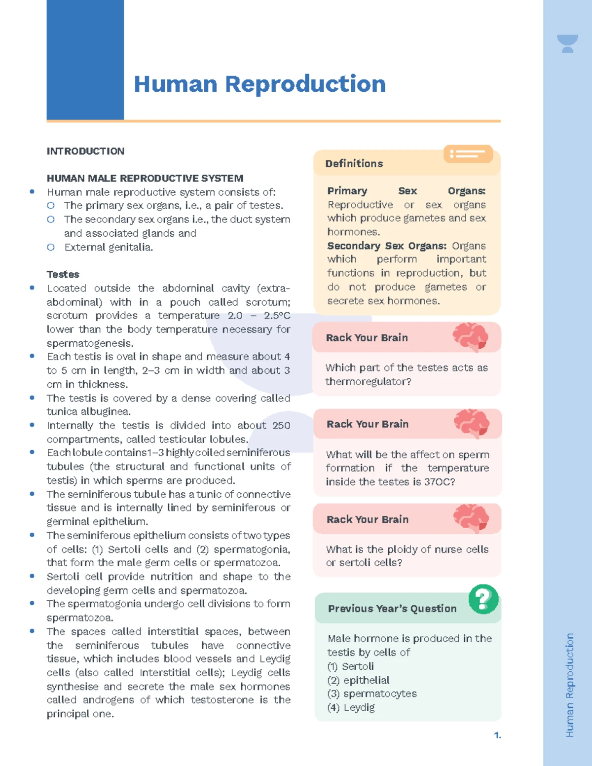 Human-Reproduction 12 - Human Reproduction Human Reproduction ...