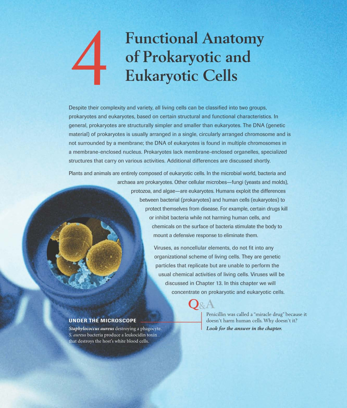 Chapter 4 - about bacteria - Functional Anatomy of Prokaryotic and E ...