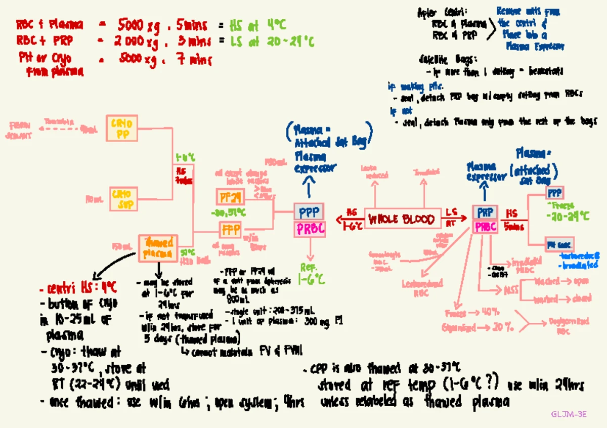 Hematology Notes: Blood Smear Analysis and WBC Differential Counting ...