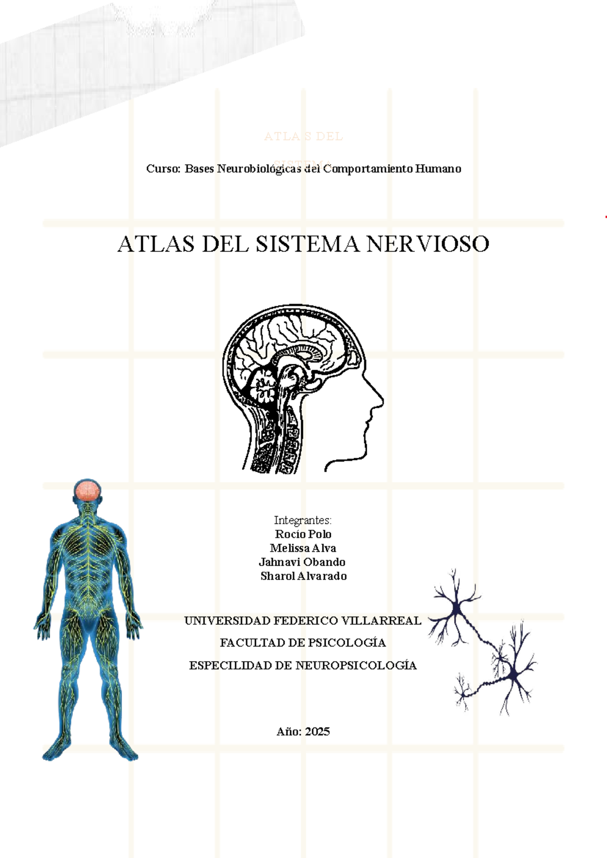 ATLA S DEL SISTEMA NERVIOSO - Bases Neurobiológicas del Comportamiento ...