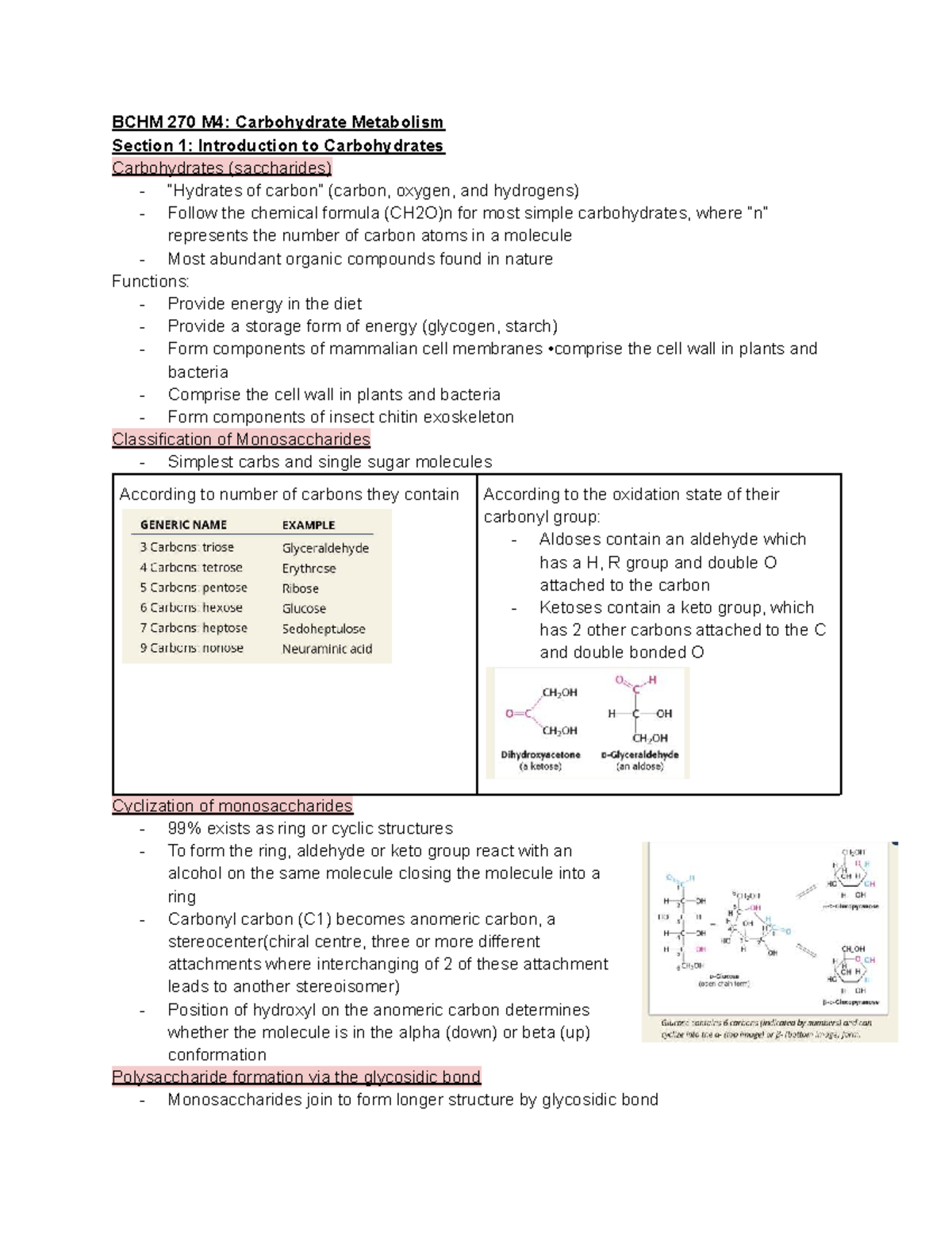 BCHM 270 M4: Comprehensive Notes on Carbohydrate Metabolism - Studocu
