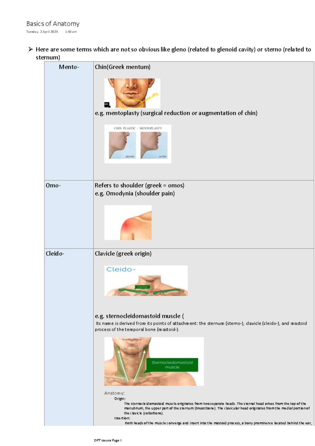 Dpt Anatomy