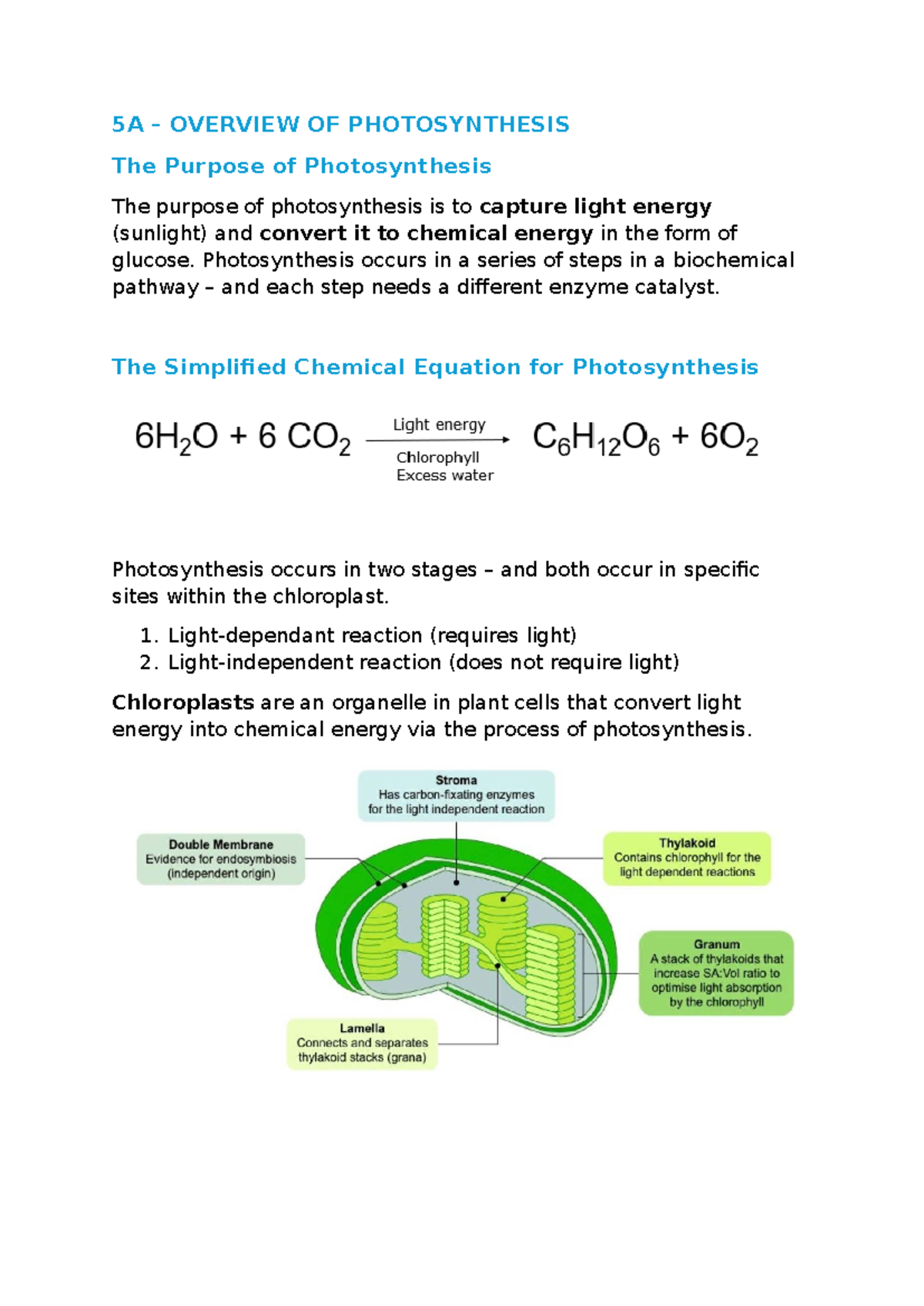 Chapters 5 Notes Biology - 5A – OVERVIEW OF PHOTOSYNTHESIS The Purpose ...
