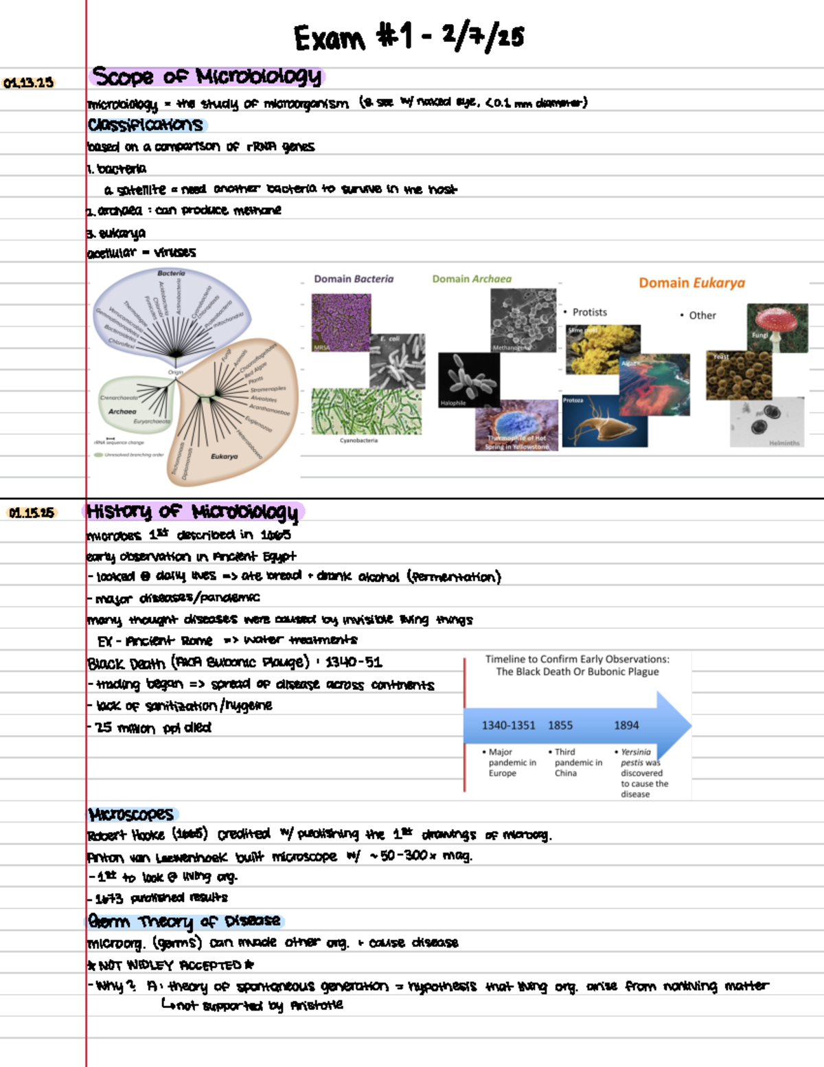 Microbiology Overview: Life Cycles of Viruses and Bacteriophages - Exam ...