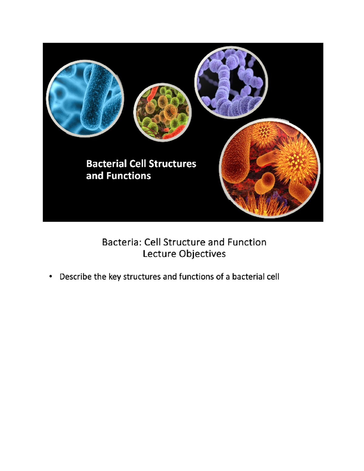 Cell Structure Overview and Key Components - BS311 - Side note: Murein ...