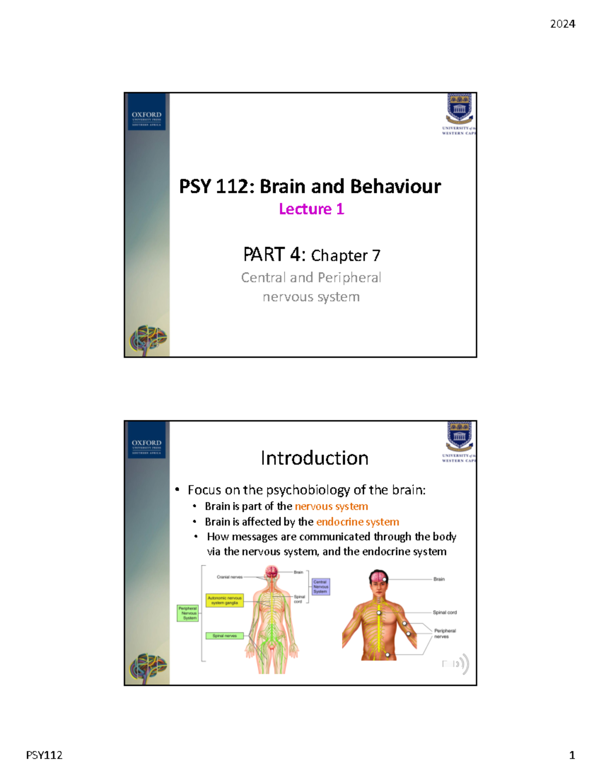 PSY112 Lecture 1: Overview of the Nervous System (2024) - PART 4 ...