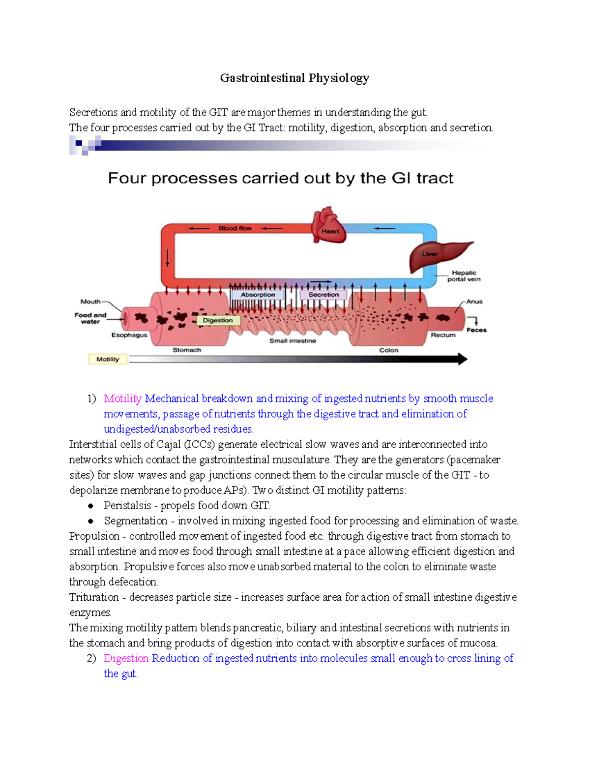 GIT 101: Overview of Gastrointestinal Physiology and Functions - Studocu