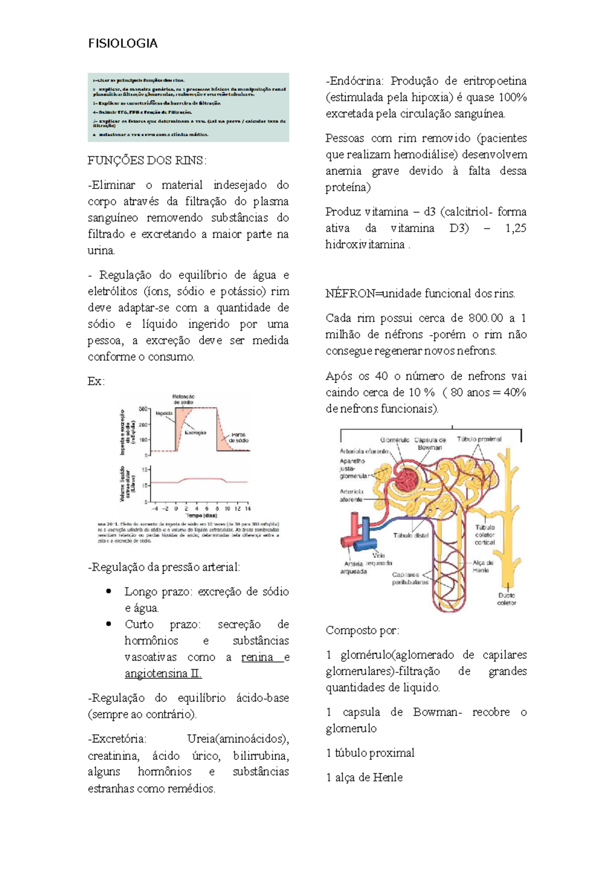 FISIOLOGIA Renal 1 - Resumo sobre Funções e Filtração dos Rins - Studocu