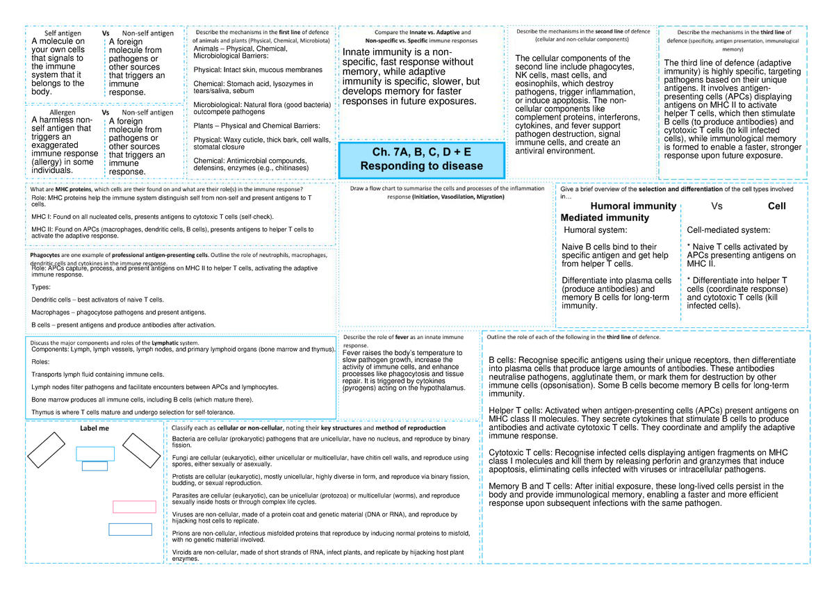 Chapter 7 - Immune System Overview and Key Concepts - Studocu