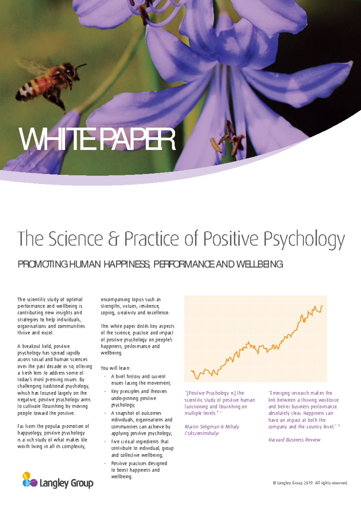 Positive Psychology: Strategies for Wellbeing & Performance (White ...