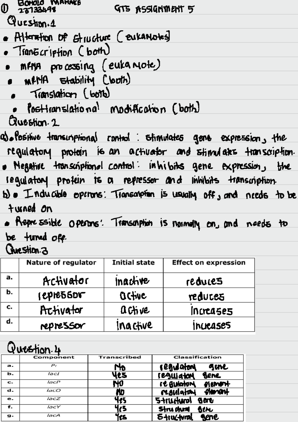 GTS 23733498 Assignment 5 - Answers on Transcription and Regulation ...