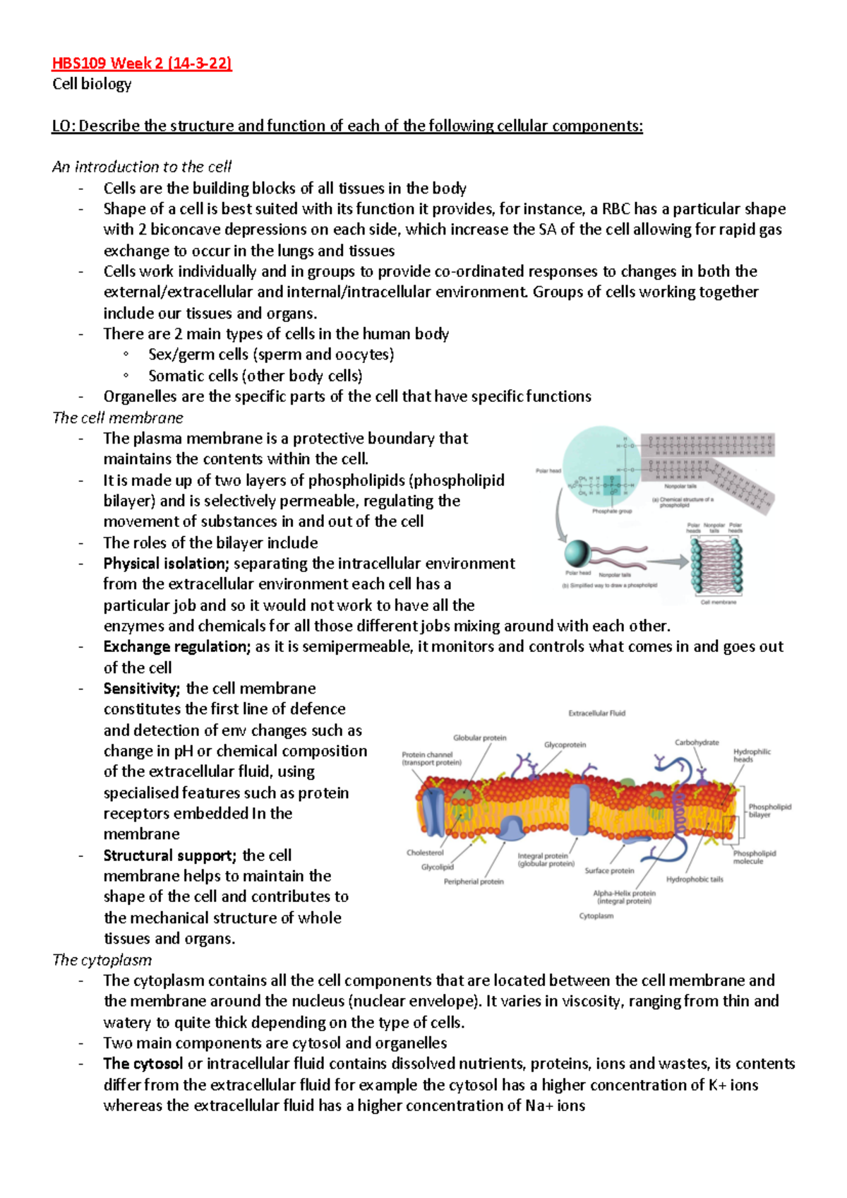 HBS109 Week 2 - Comprehensive Cell Biology Notes - Studocu