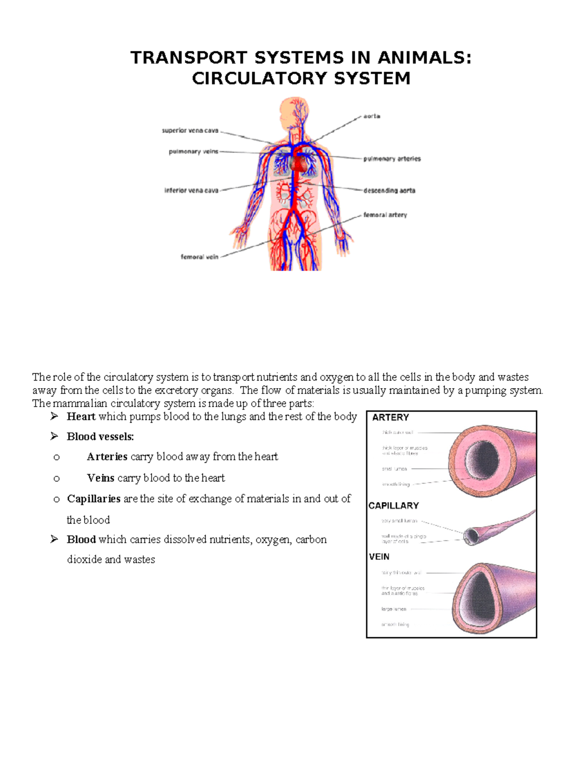 22. Open and Closed Circulatory Systems in Animals - A Comparison - Studocu