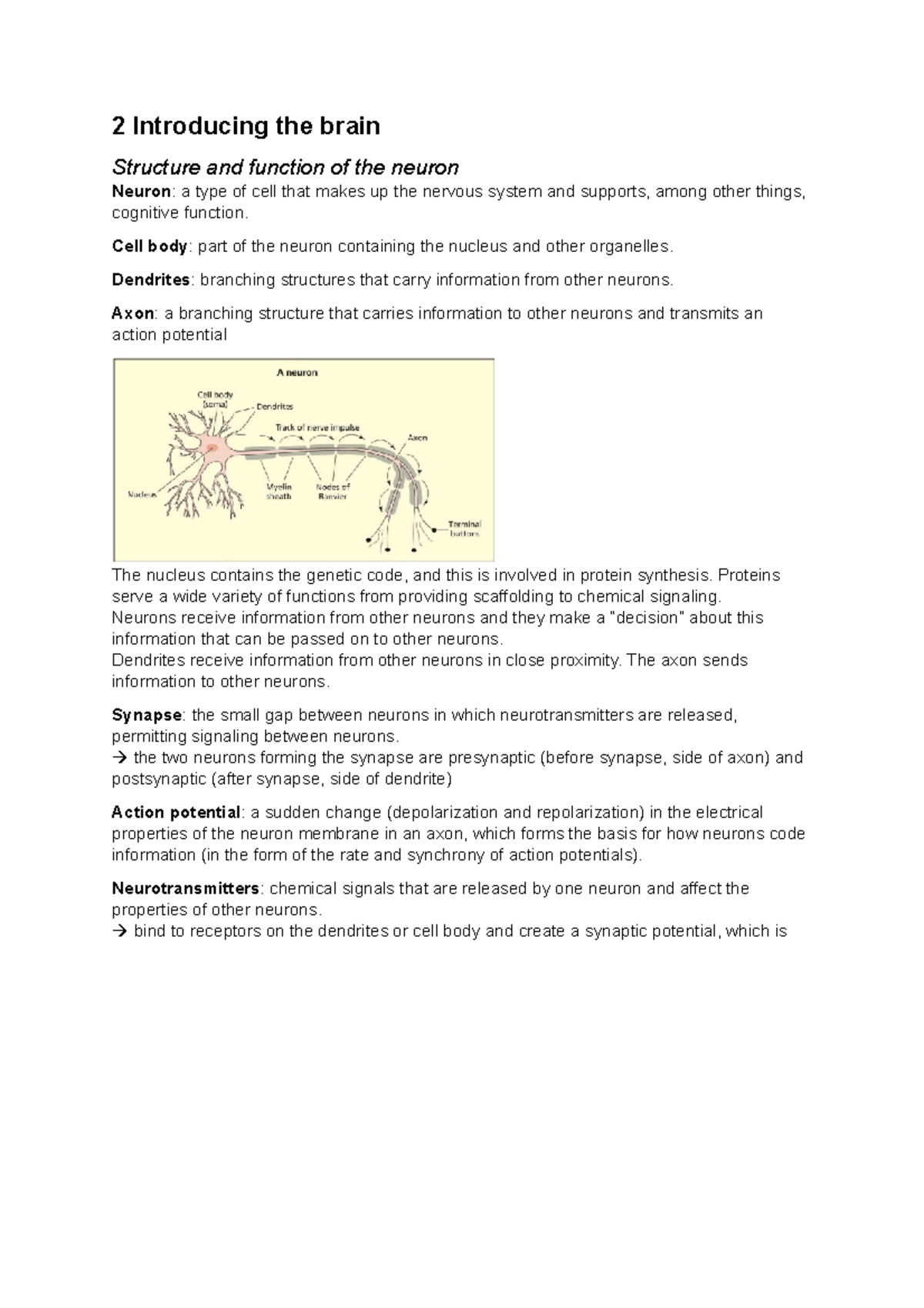Chapter 2: Overview of Brain Structure and Function - Cognitive ...