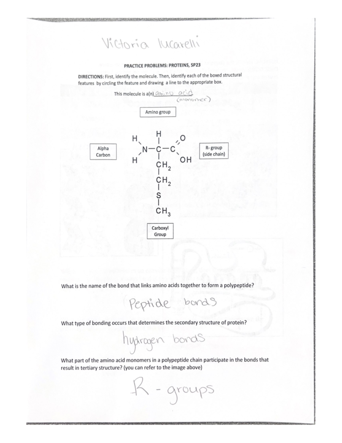 Protein Structures Worksheet - Practice Problems SP23 - Studocu