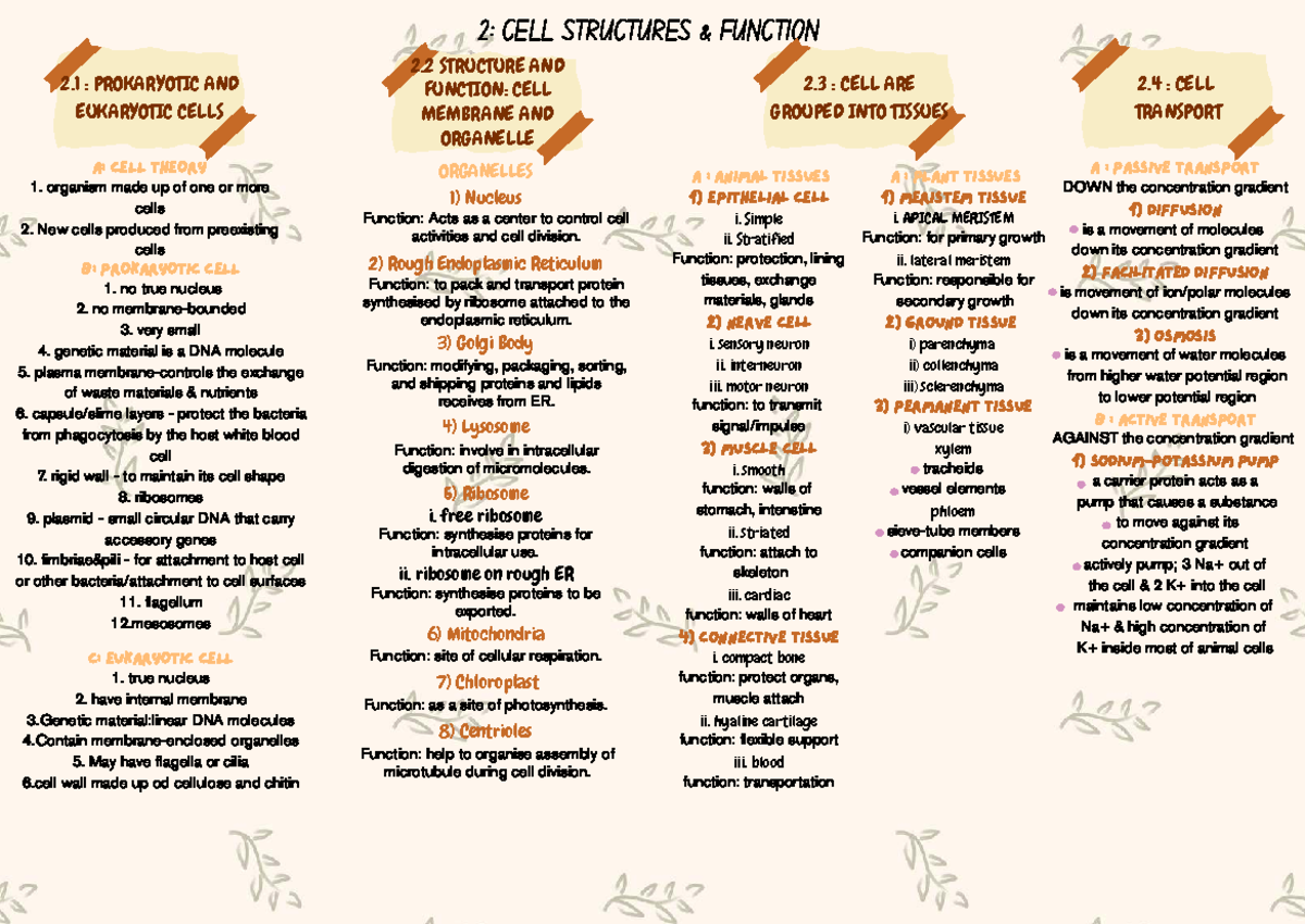 Overview of Cell Structures and Functions - SK015 - Studocu