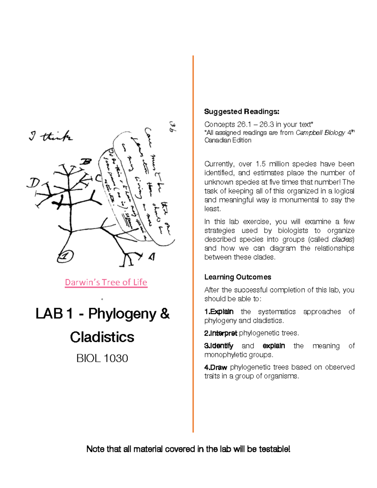 BIOL 1030 Lab 1: Phylogeny and Cladistics Overview - Studocu