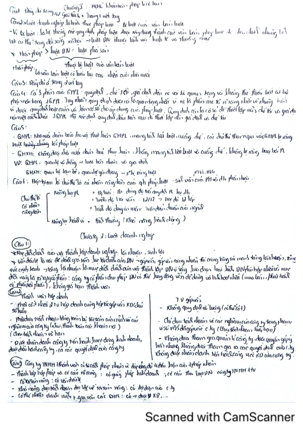 Cluicing I Midterm Notes - Key Points and Concepts - Studocu