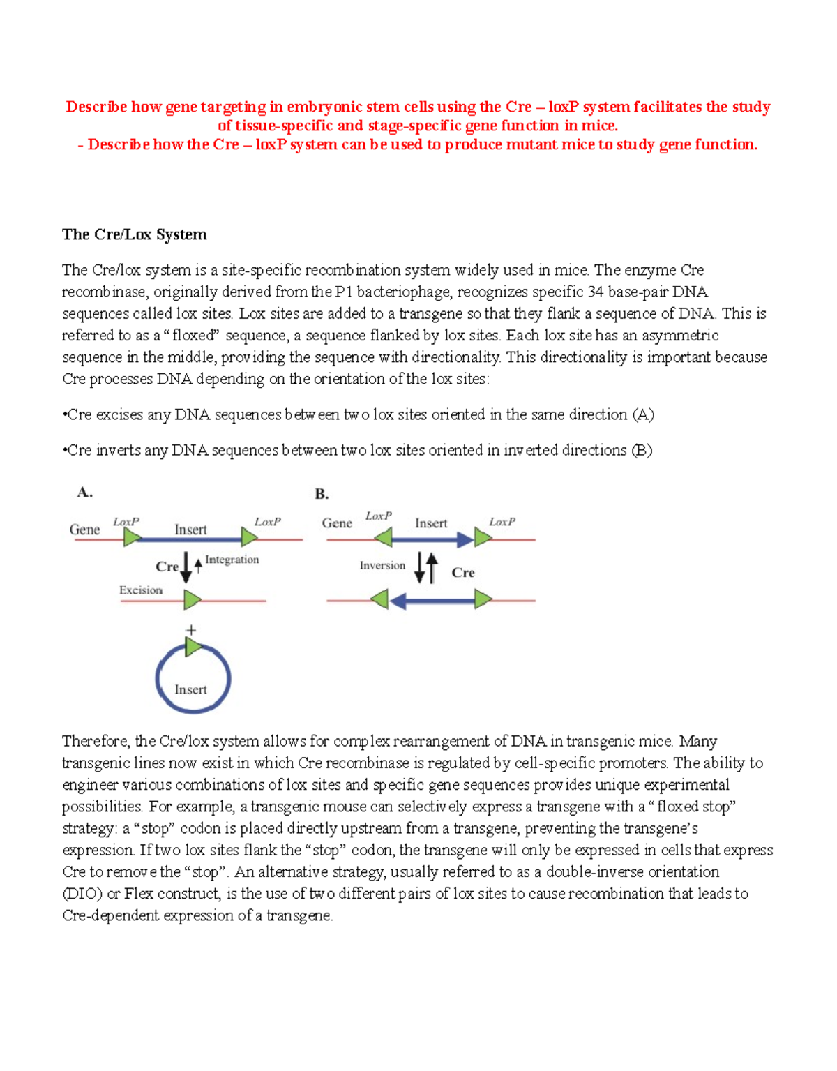 Cre-loxP System: Gene Targeting in Mouse Models for Function Study ...