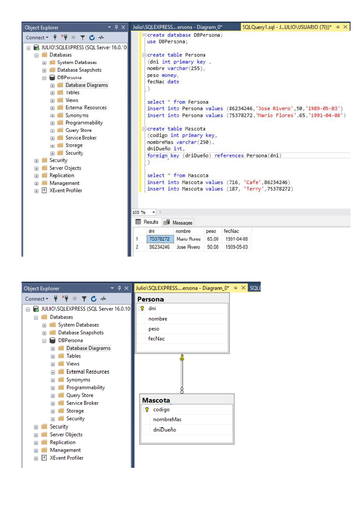 SQL Server 16.0.10: Persona & Mascota Database Diagram and Queries ...
