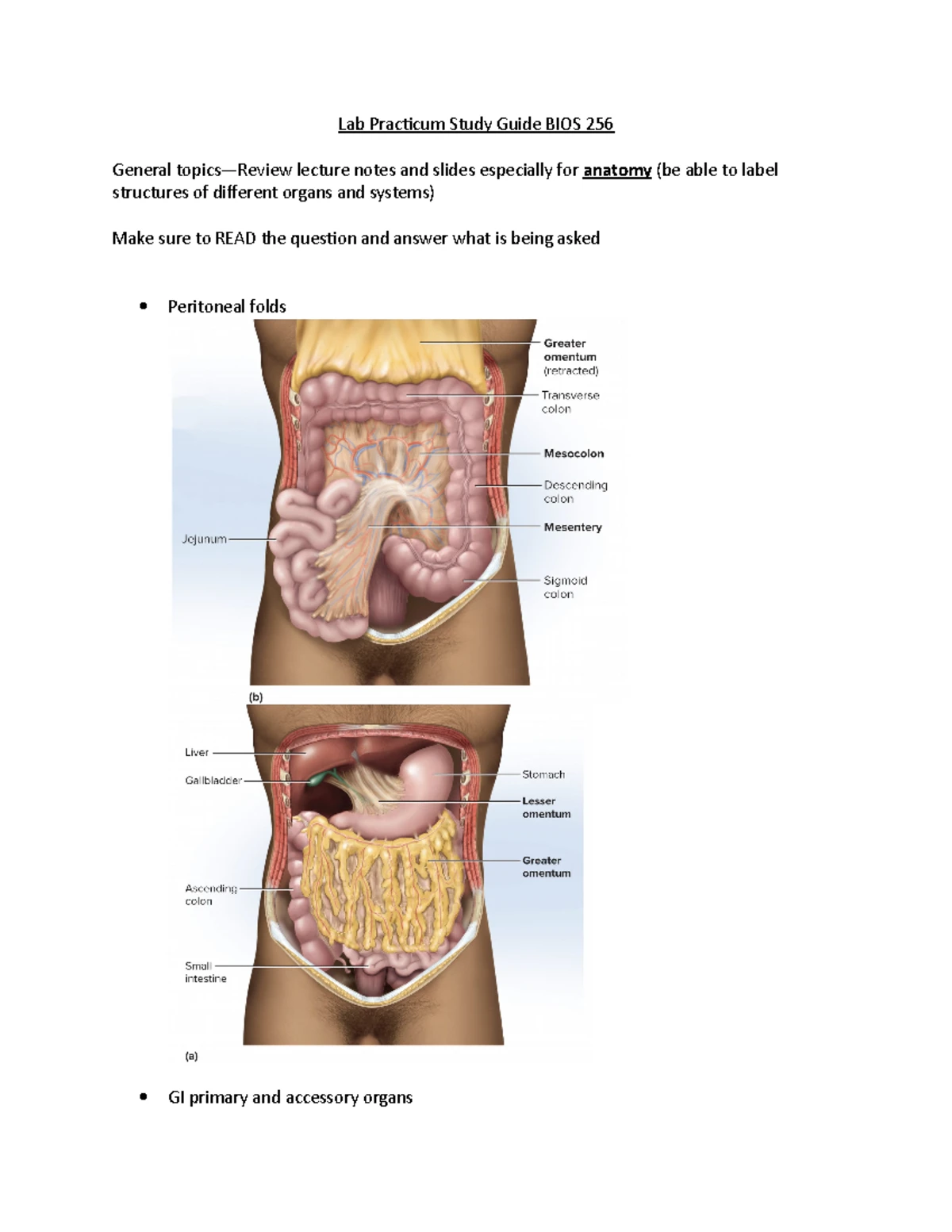 BIOS256 Week 2 assignment Lower Digestive Worksheet