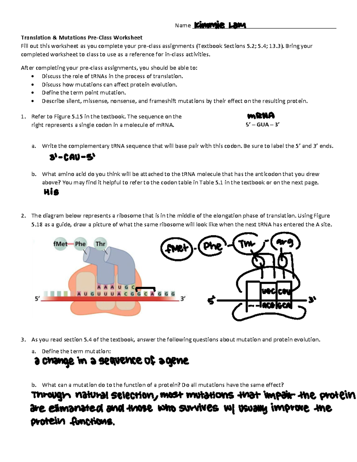 Bio 7A Pre-Class Worksheet: Translation & Mutations Review - Studocu