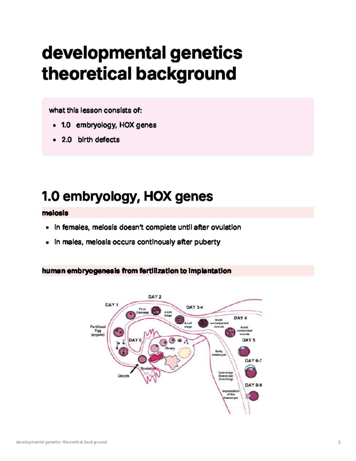 Developmental Genetics: Embryology and Birth Defects - Studocu