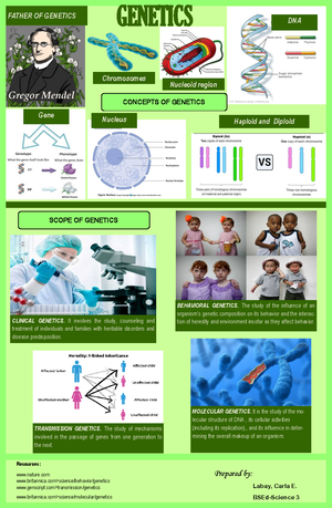 Genetics- Handout - materials - BIOLOGY MAJORSHIP GENETICS Genetics ...