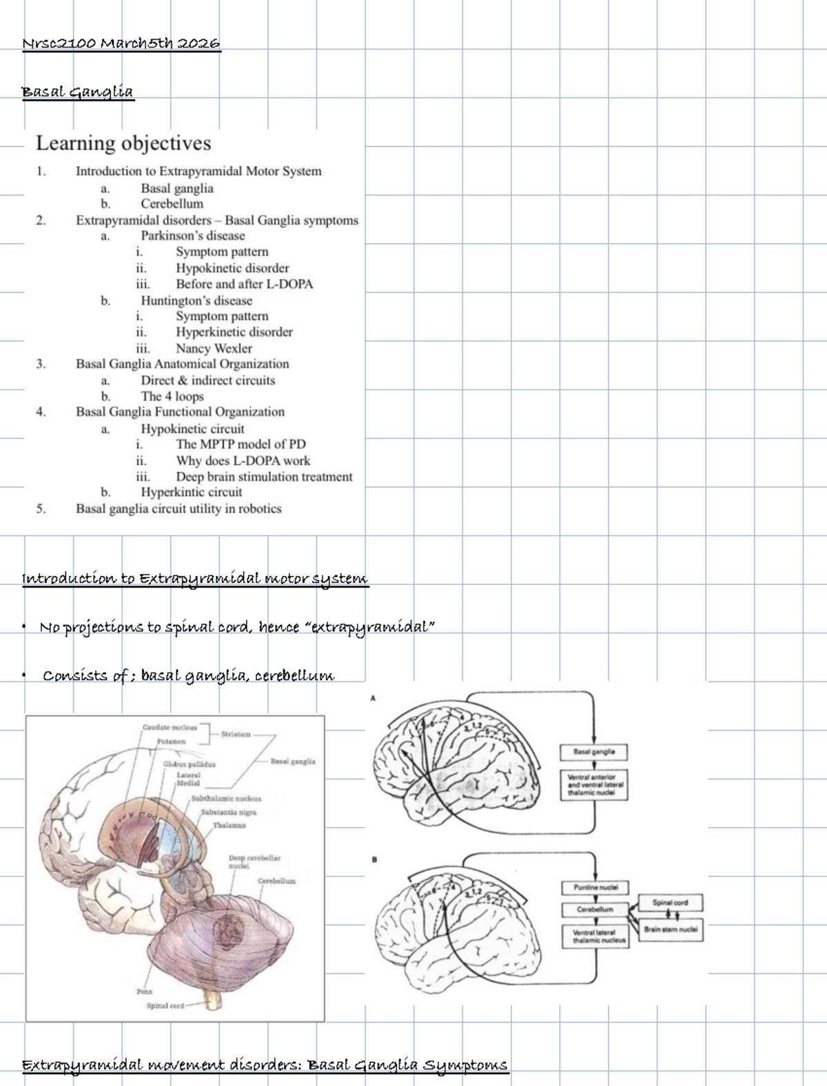 Nrsc2100 Lecture 12: Basal Ganglia & Extrapyramidal Motor System - Studocu