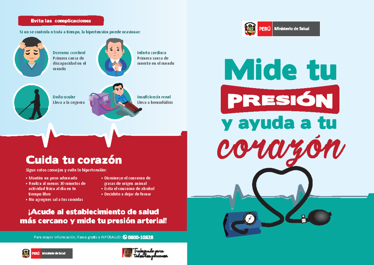 Diptico sobre Hipertensión Arterial: Causas y Prevención - Document Preview