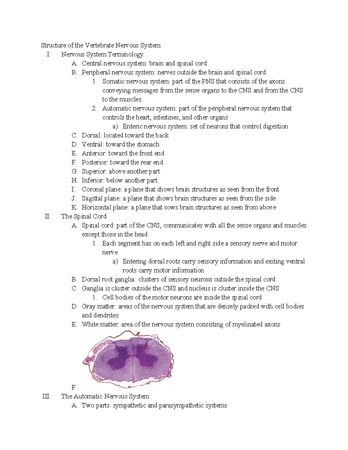 Chapter 3 - Structure of the Vertebrate Nervous System I. Nervous ...