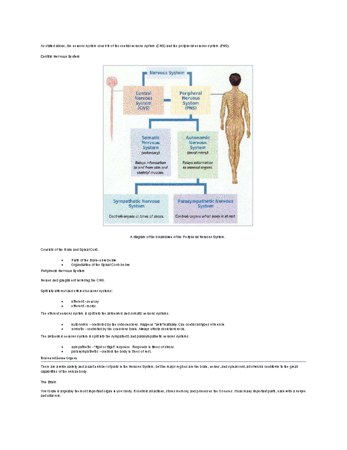 Science Olympiad: Nervous System Overview and Key Concepts - Studocu