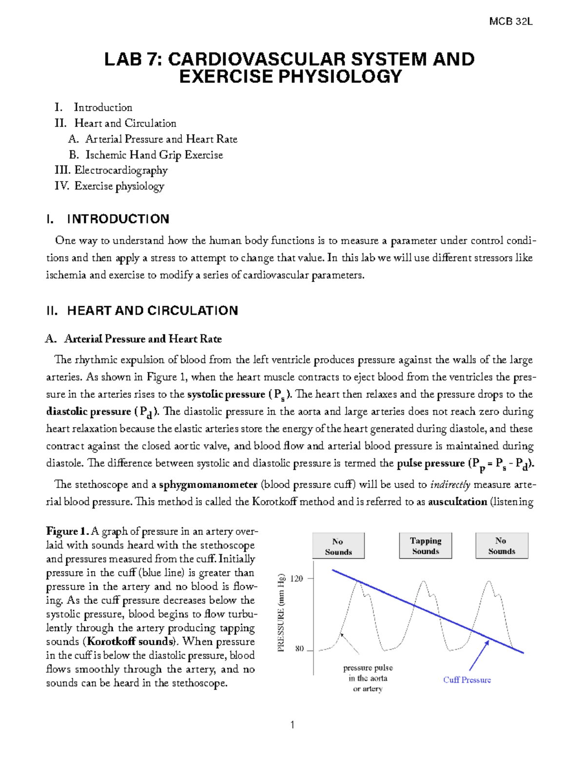 MCB 32L Lab 7 instructions - LAB 7: CARDIOVASCULAR SYSTEM AND EXERCISE ...