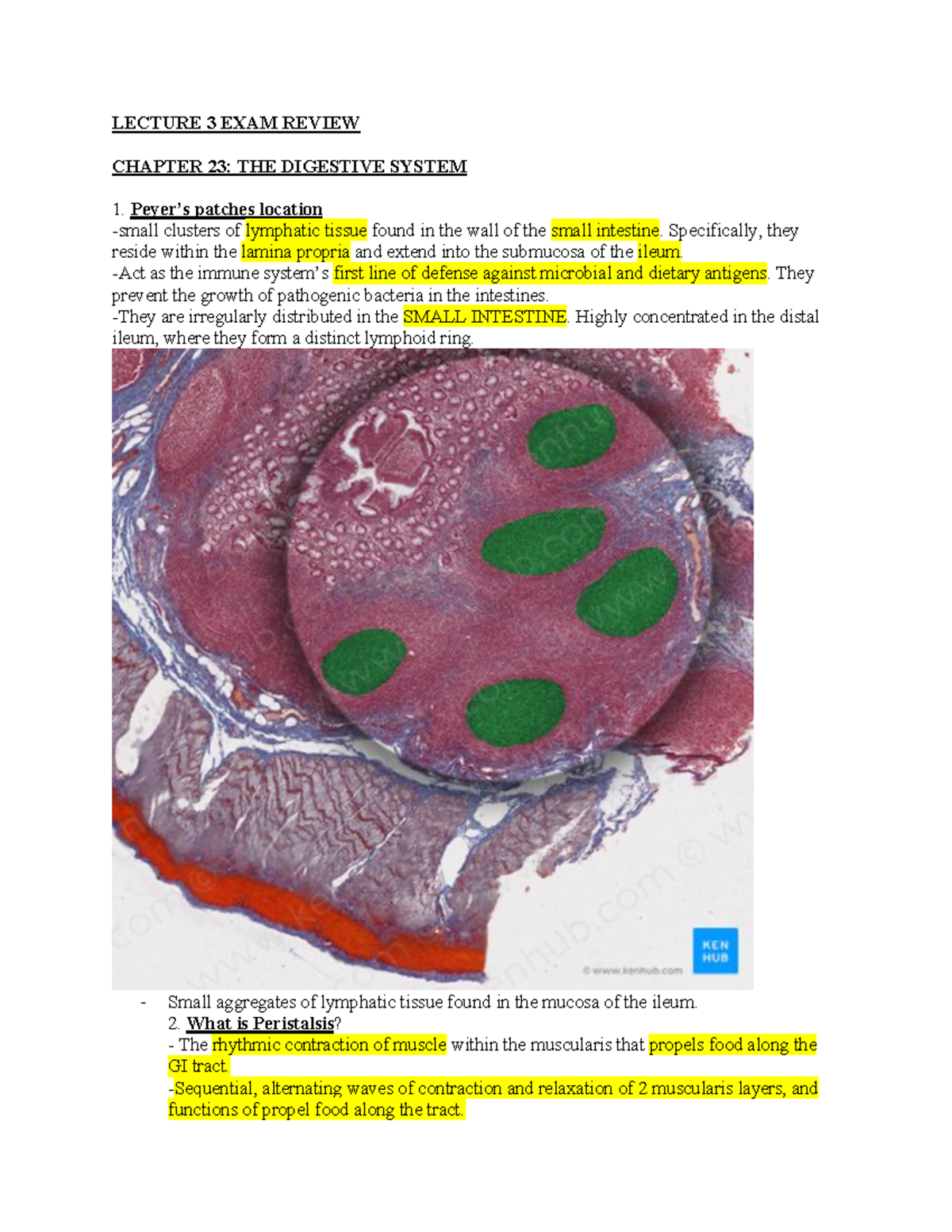 Mechanisms of Water Reabsorption in Renal Tubules - BIO 101 Lecture ...