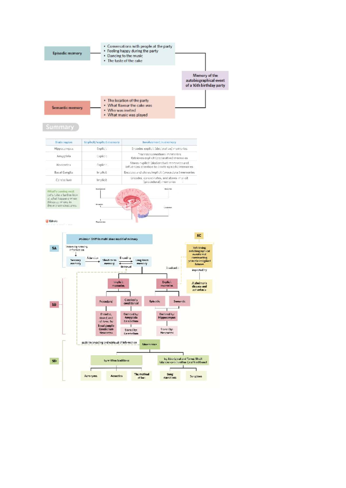 Memory Types and Brain Structures: A Study of Episodic and Semantic ...